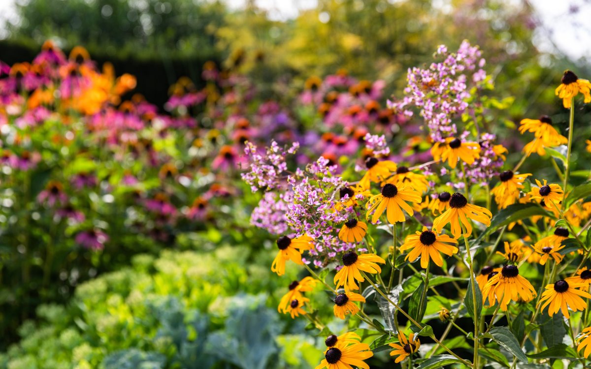 Membership Longwood Gardens